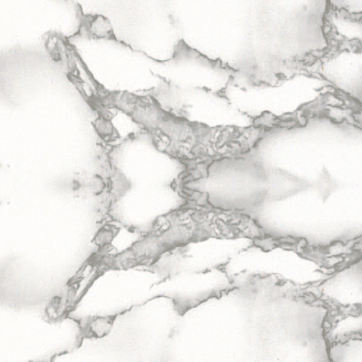 Plast.Ad.Mt15X67,5Cm Carrara Bia.